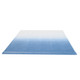 RVFAB|Blue Fade