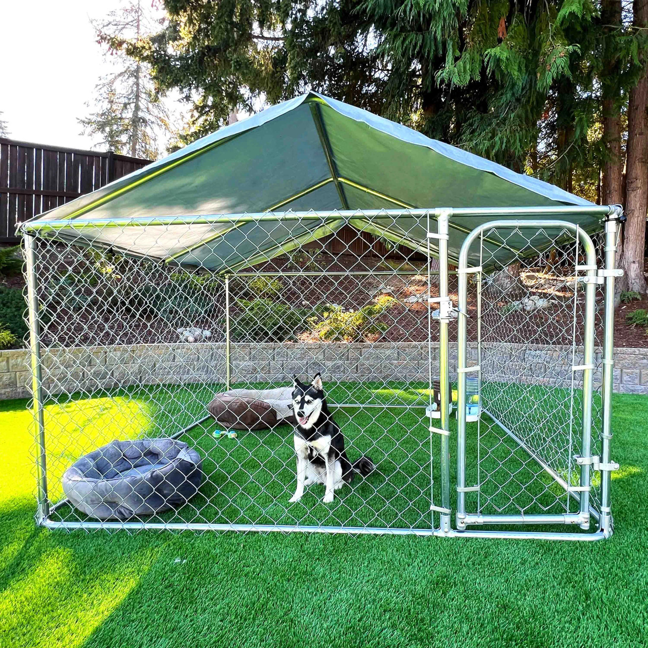 Pet Products